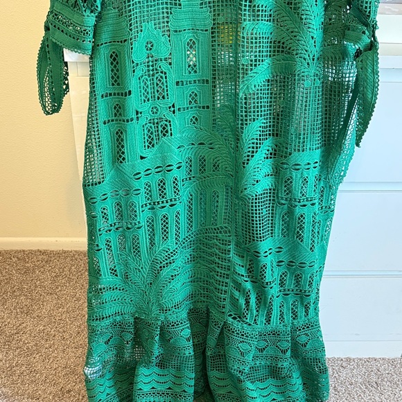 FARM Rio Green Crochet Maxi Dress - Picture 9 of 11